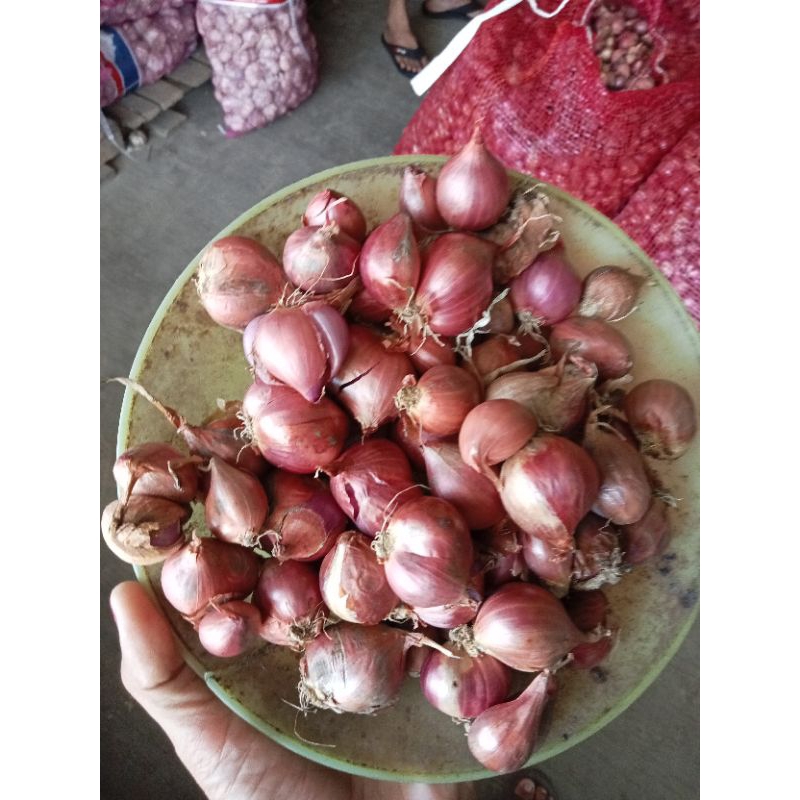 

Bawang merah super 1000gram asli dari brebes