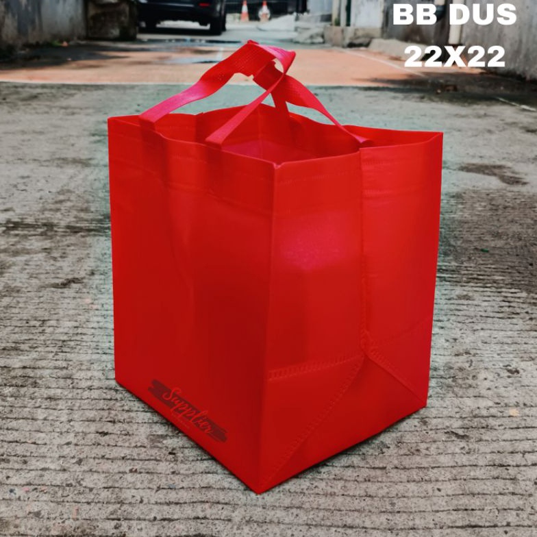 

Termurah Goodiebag kotak 22x22 spunbond tinggi 28cm HBPA 12pcs