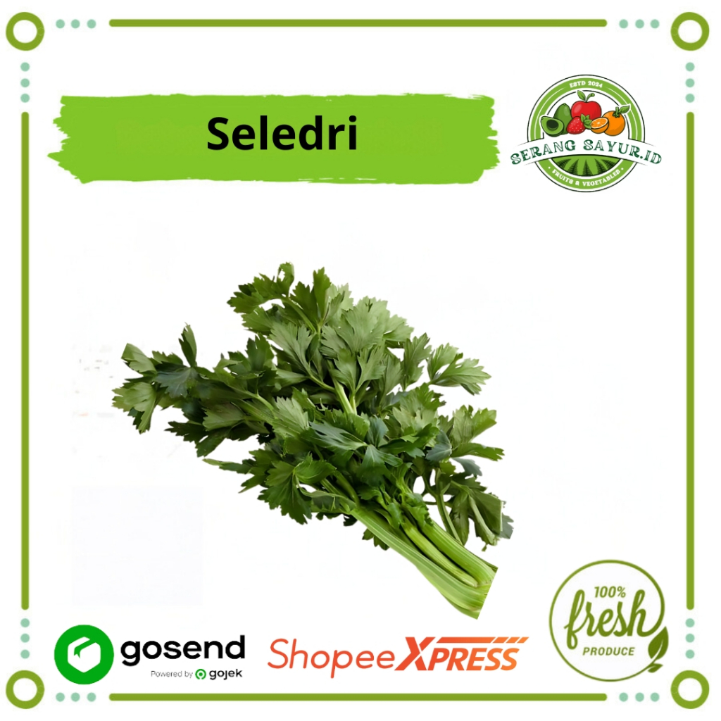 

[INSTAN SERANG] SELEDRI / IKAT