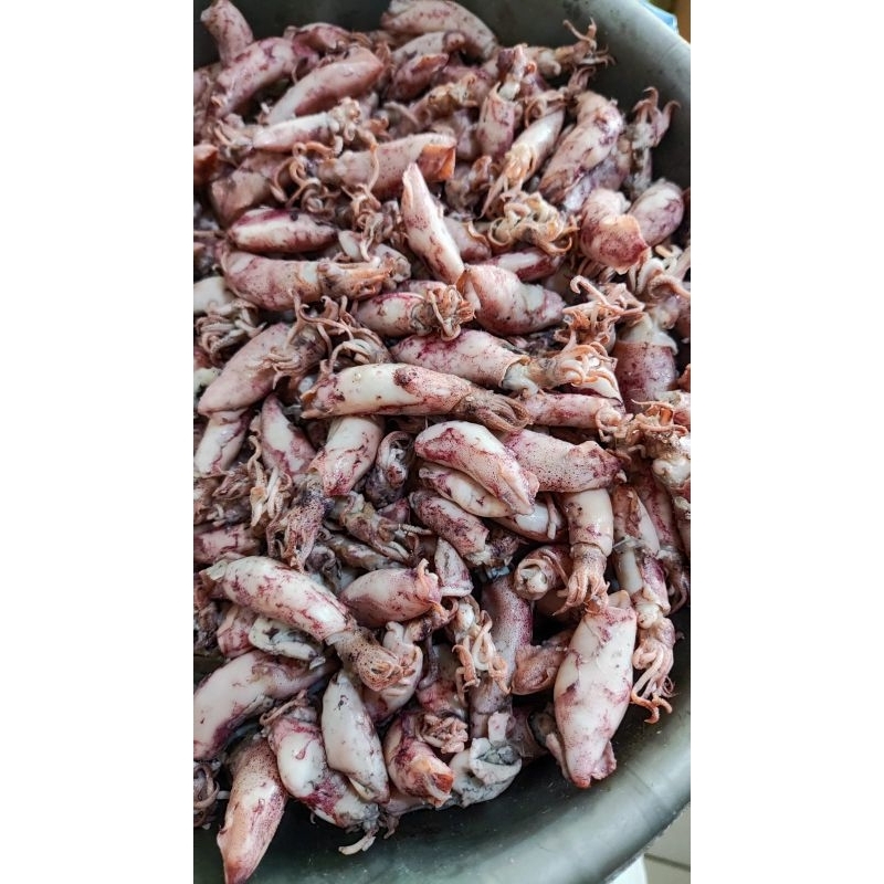 

CUMI BABY | 250 GR | 500 GR | 750 GR | 1000 GR