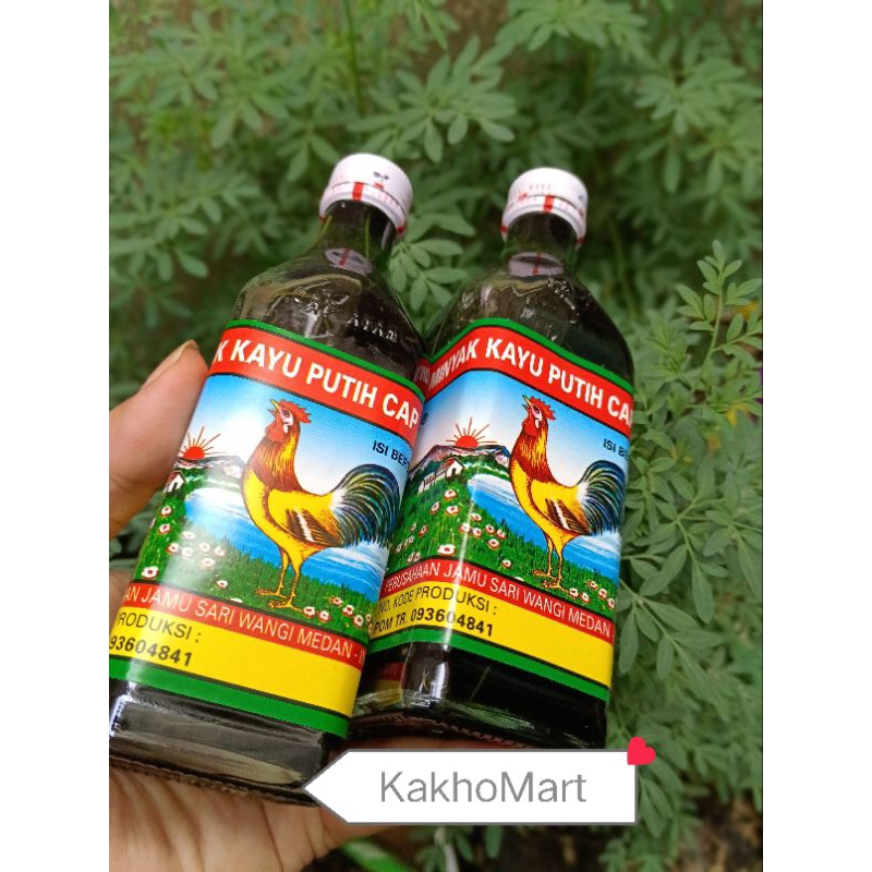 Minyak kayu putih rendaman  chao chao /daun inggu 150ml