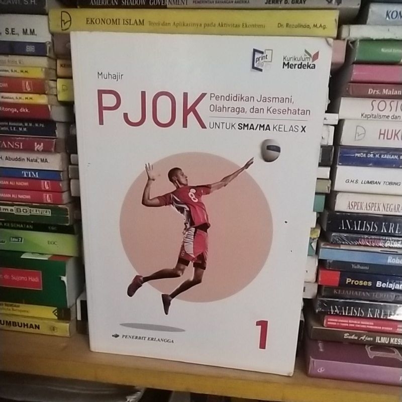 buku pjok kelas 10 penerbit erlangga kurikulum merdeka