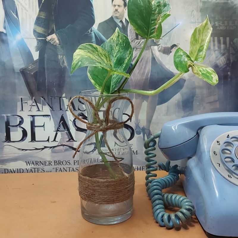 Vas Bunga Kaca Bening Dengan Tali Rami Aesthetic