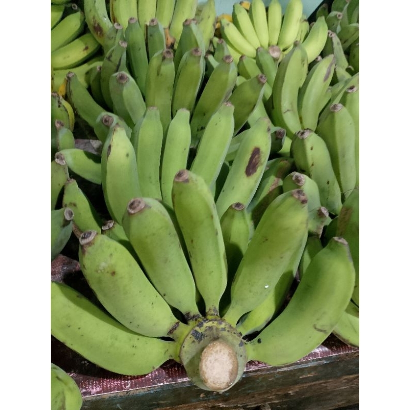 

buah pisang