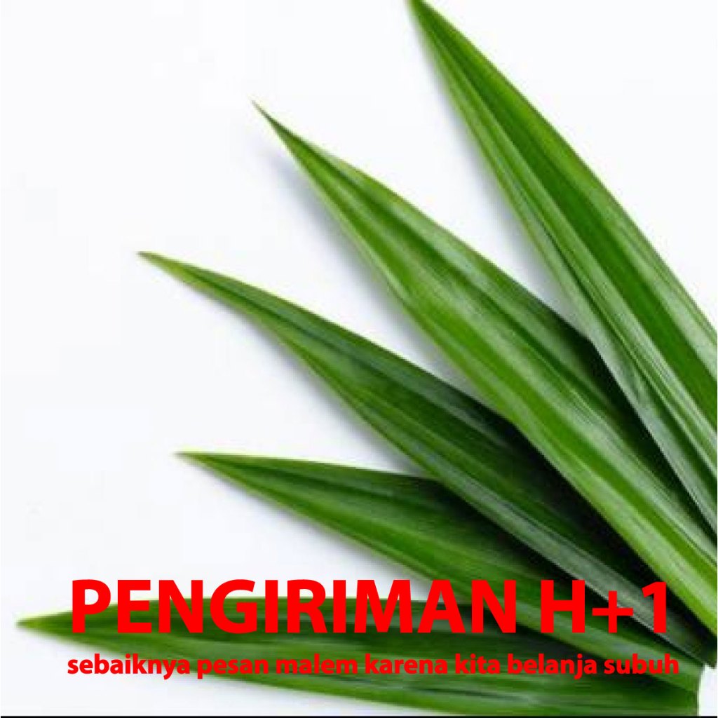 

Daun pandan per iket