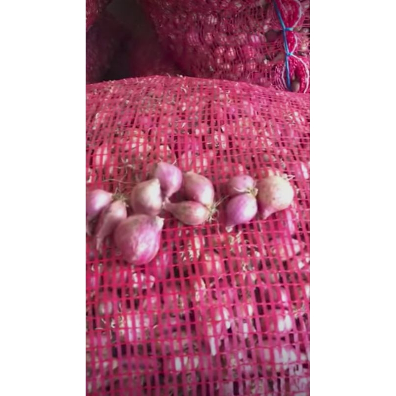 

Bawang Merah Brebes