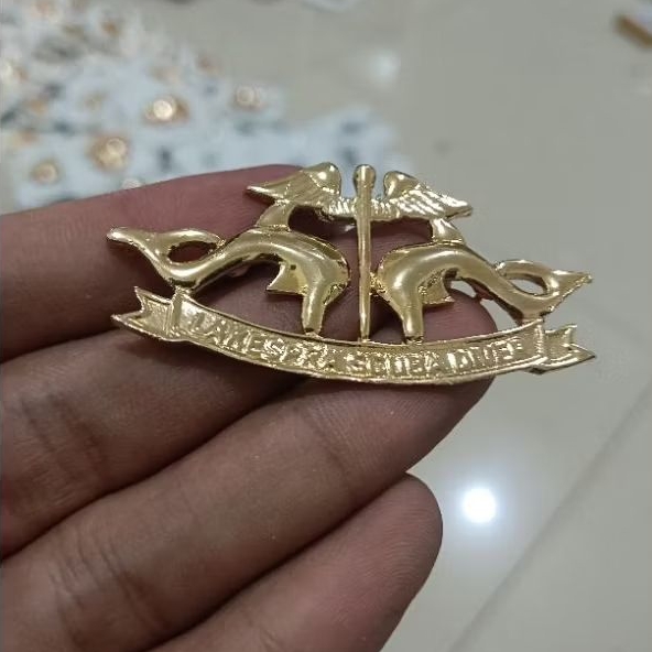 brevet wing pin pdh lakespra scuba diver