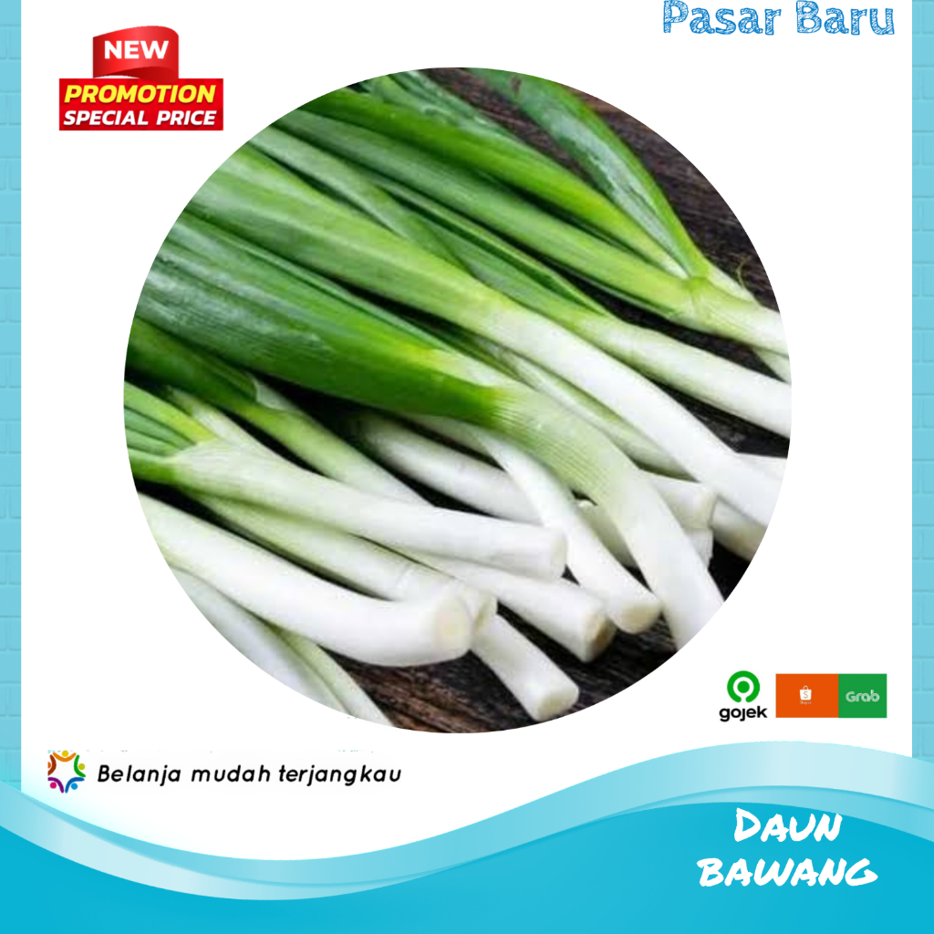 

Daun Bawang Saja • Murah | Pasar Baru Makassar