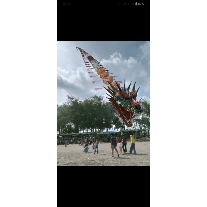 kepingan layangan  naga dm50 70keping