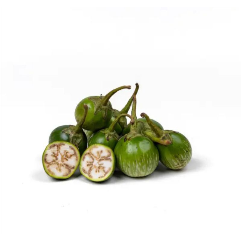 

terong bulat fresh 500gram