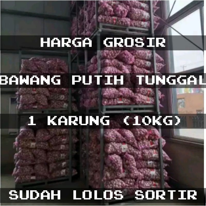 

Bawang Putih Tunggal-Bawang Lanang super seger lolos sortir