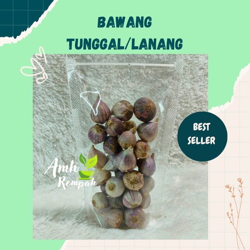 

Bawang lanang tunggal 100 gram