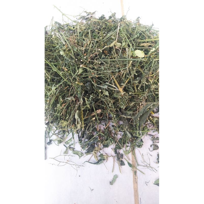 sambiloto kering 1kg