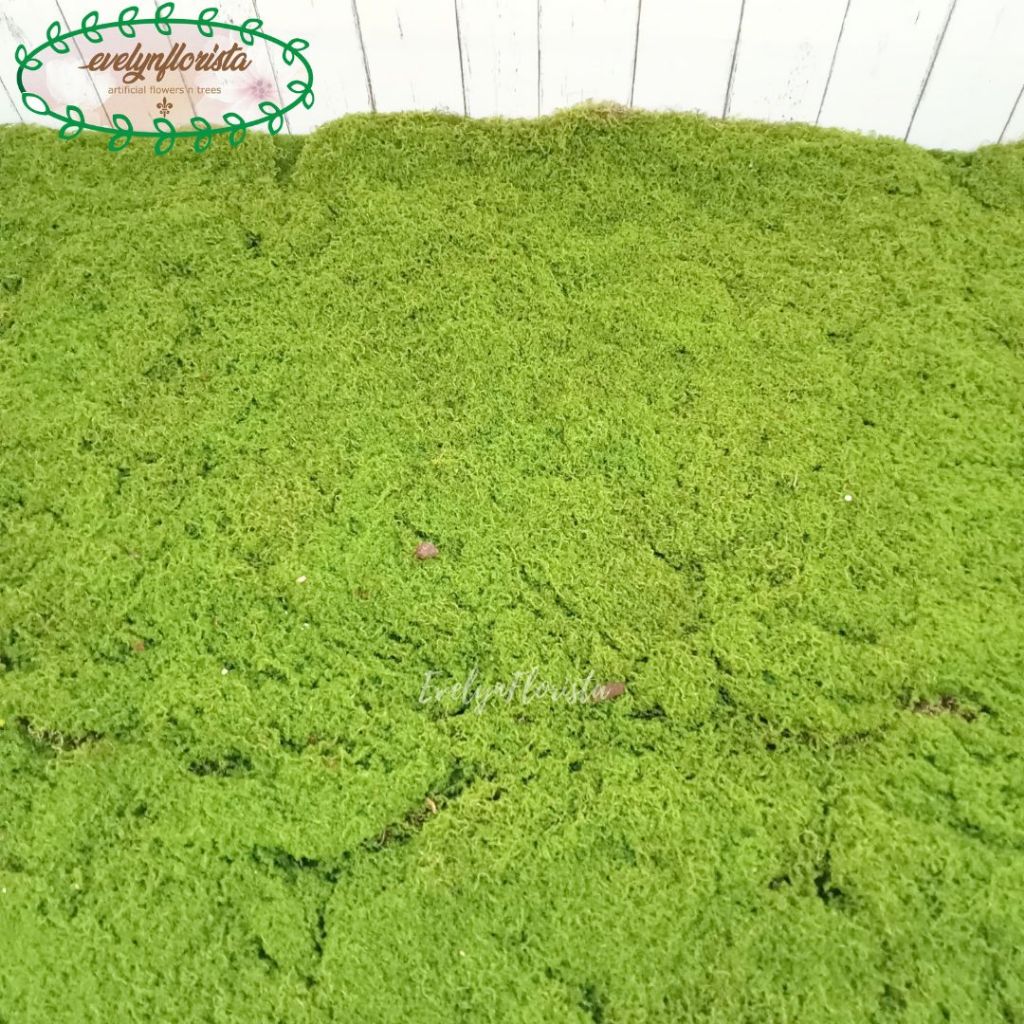 Karpet Lumut Sintetis Imitasi Lumut Dekorasi Rumah Aesthetic