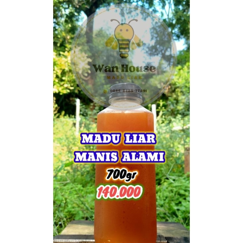 

MADU MANIS DORSATA 700gram MURNI TANPA CAMPURAN