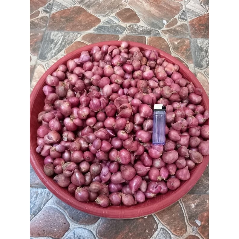

Bawang Merah Besar-Tanggung 250 gram