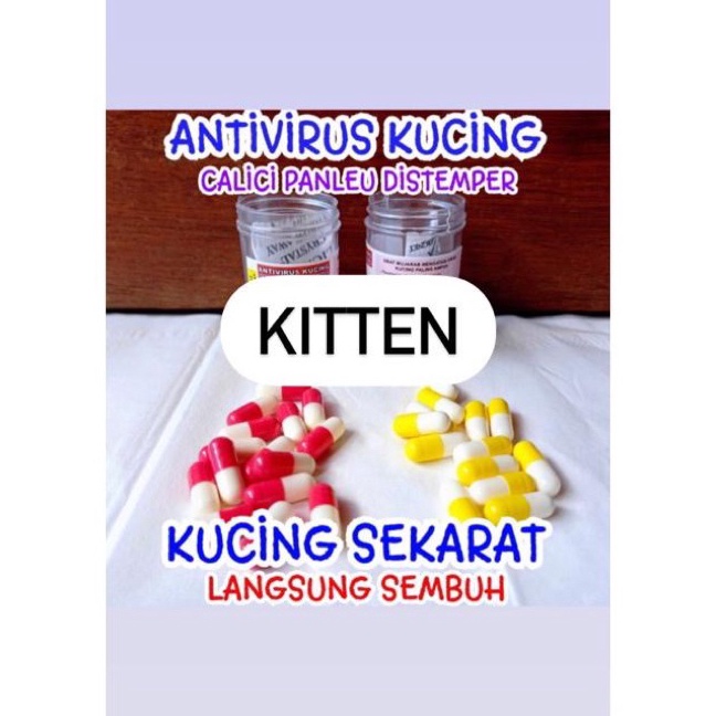 Unggul KAPSUL AJAIB  Obat Virus Kucing Calici Panleukopenia Distemper FIP Paling Ampuh Antivirus Cat