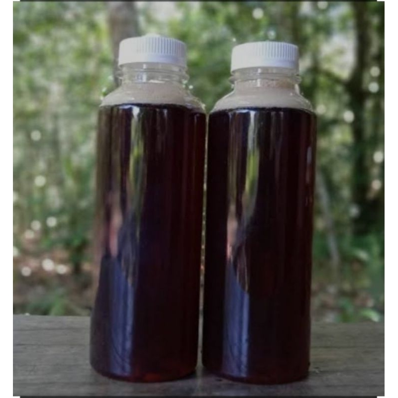 

madu asli dari hutan Sumatra