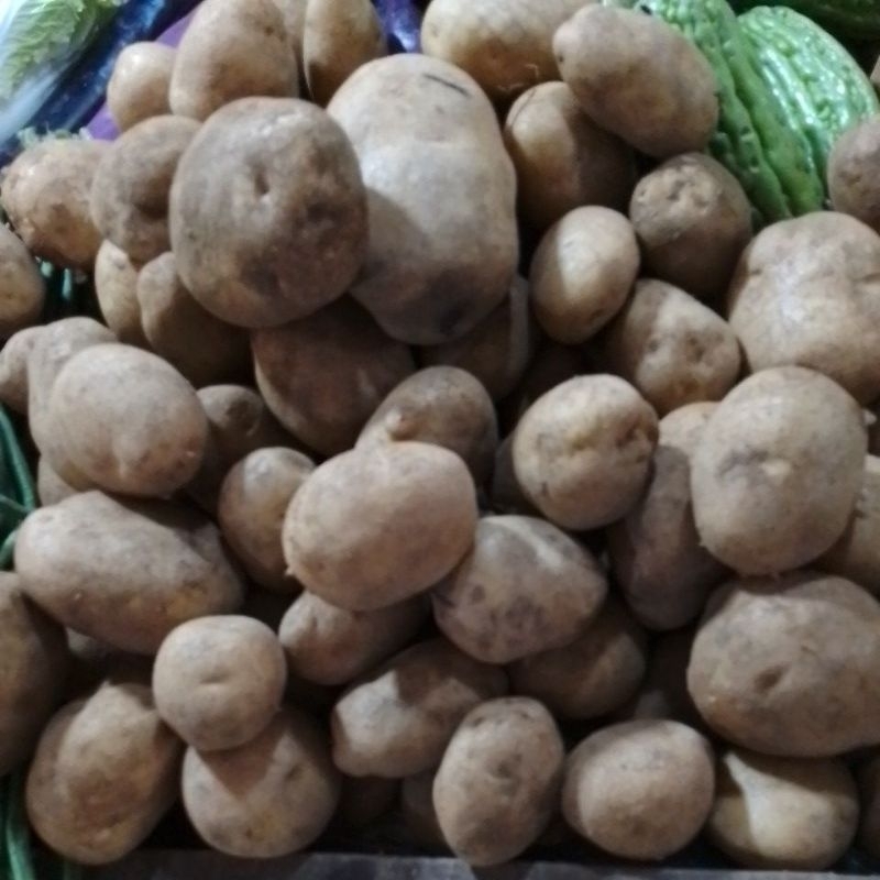 

kentang Dieng 28900/kg
