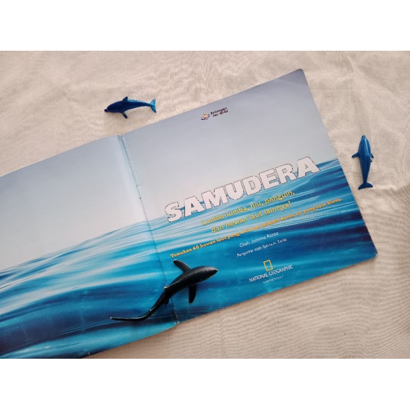 Buku Pengetahuan Anak: Natgeo Kids Samudera - Best Seller Erlangga For Kids, Ensiklopedia Laut [EFK]
