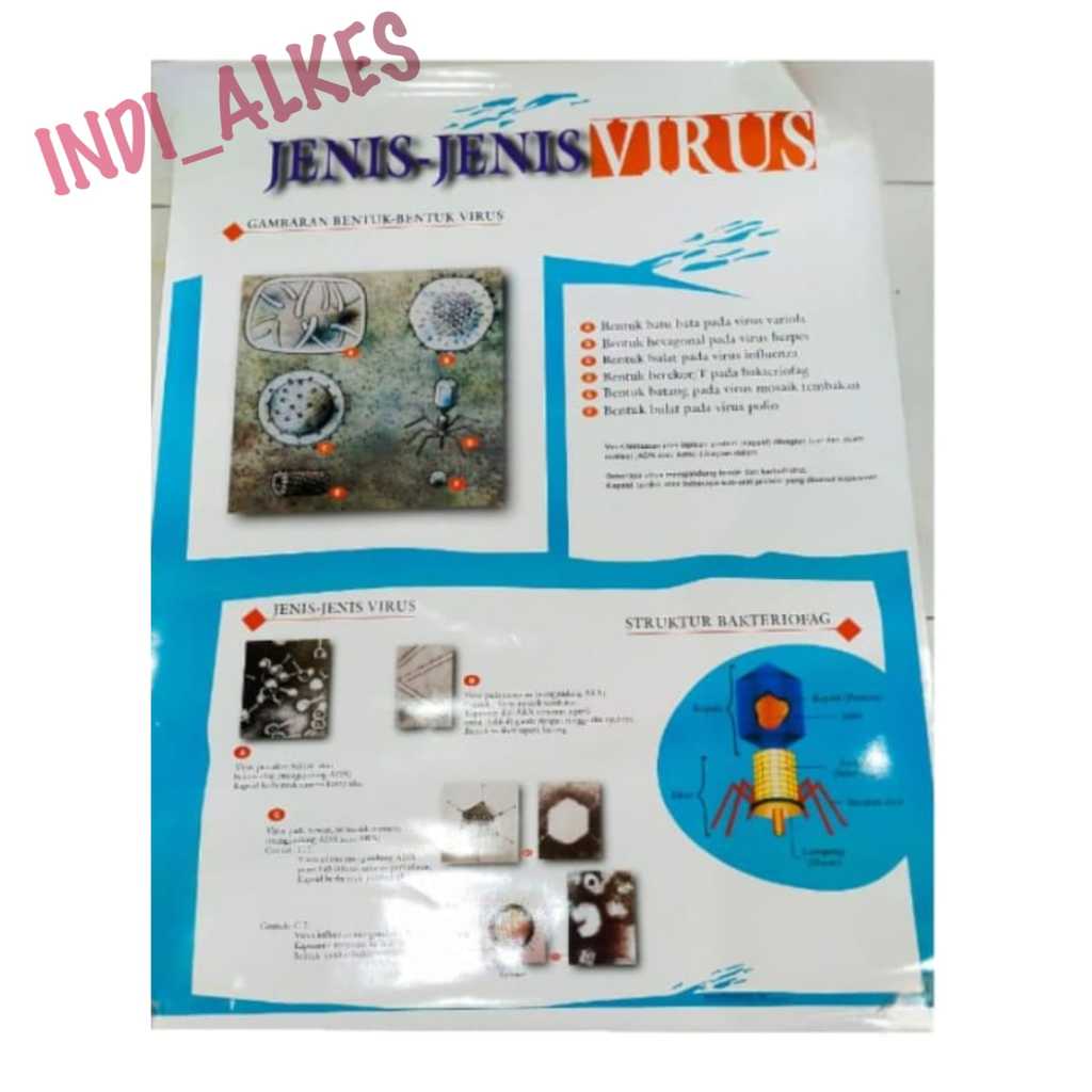 CARTA JENIS-JENIS VIRUS/POSTER JENIS-JENIS VIRUS/GAMBAR JENIS-JENIS VIRUS