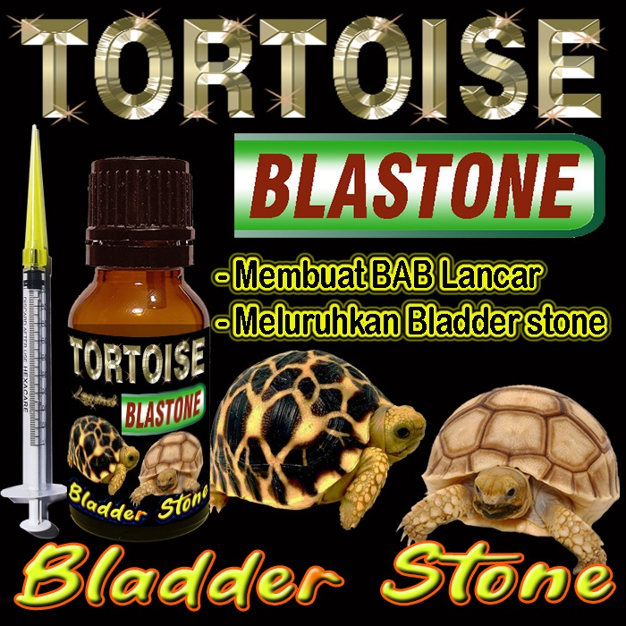 TORTOISE BLASTONE CAIR OBAT BLADDER STONE BS MELURUHKAN URATES KURA-KURA DARAT MENGOBATI PENYAKIT BA