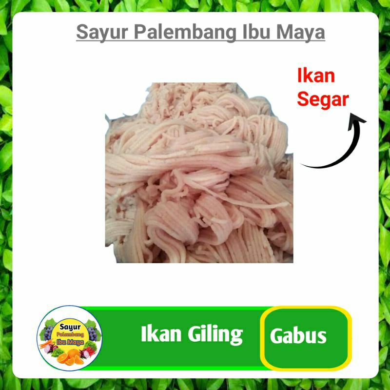 

Ikan Gabus Giling Segar - Sayur Sayuran Segar Palembang