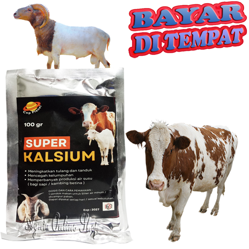 Penguat Tulang Sapi Kambing SUPER KALSIUM Obat Lumpuh Cacat