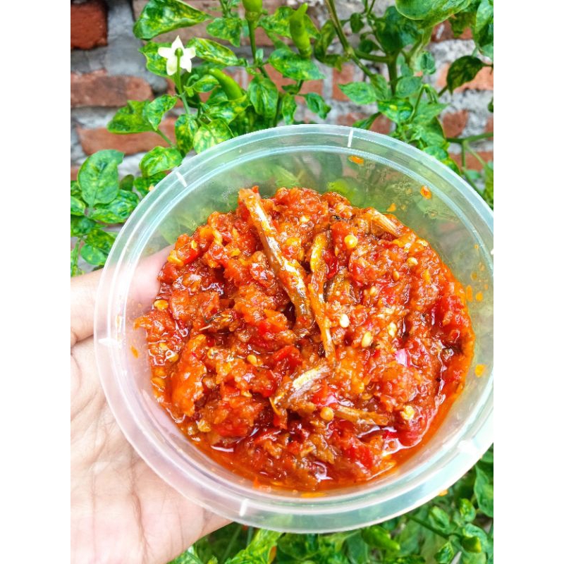 

SAMBAL BAWANG, TERI, TERASI PEDAS