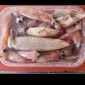 

CUMI-CUMI FRESH 500gram