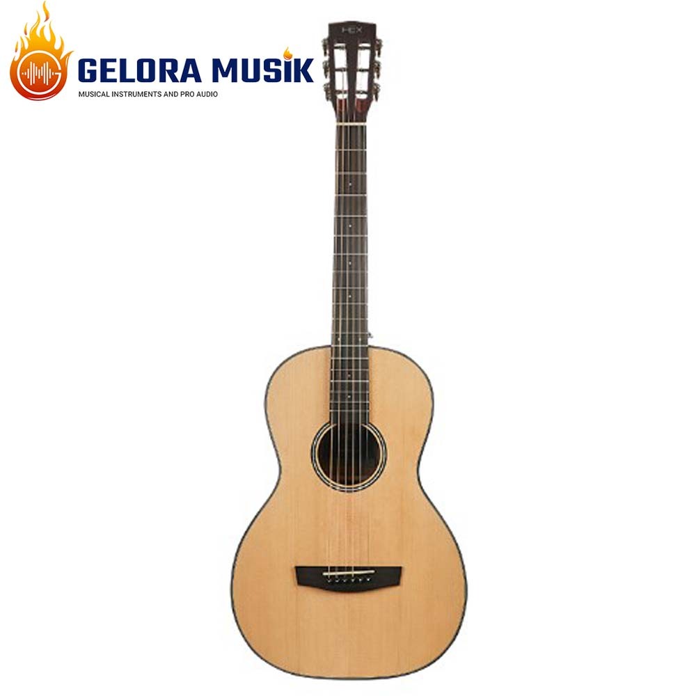 Gitar Akustik Hex P100E M