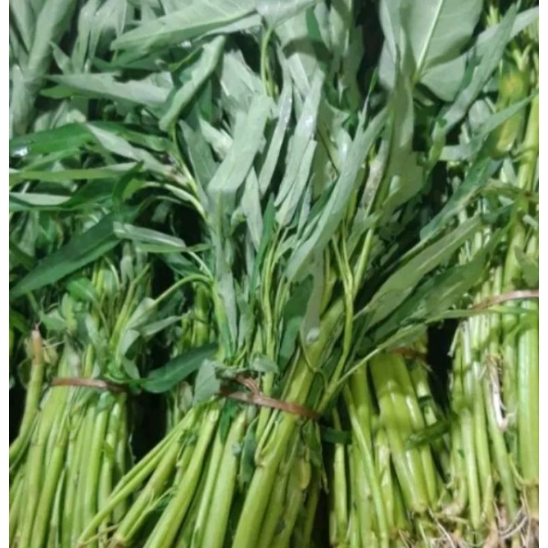 

Sayur kangkung 1ikat