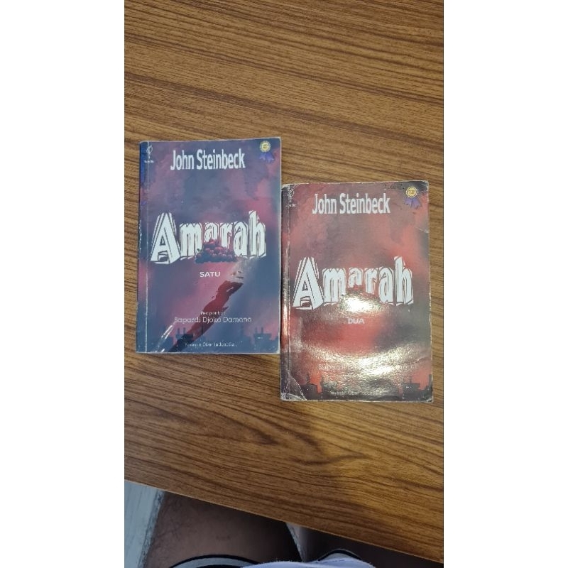 Amarah John Steinbeck