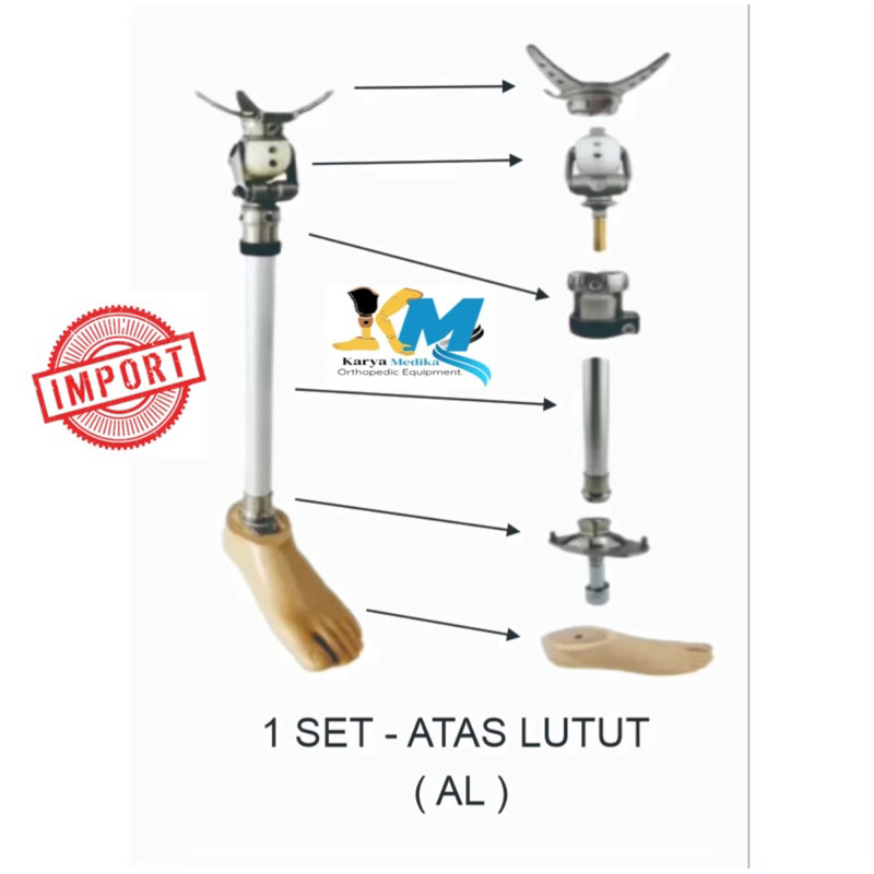 kaki palsu atas lutut