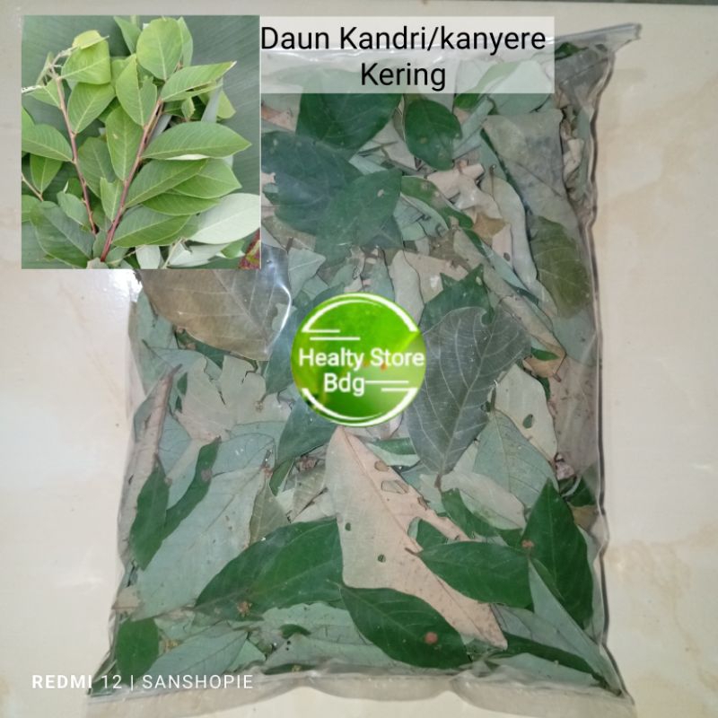 

Daun Kandri Atau kanyere Kering tanpa batang 100 gram