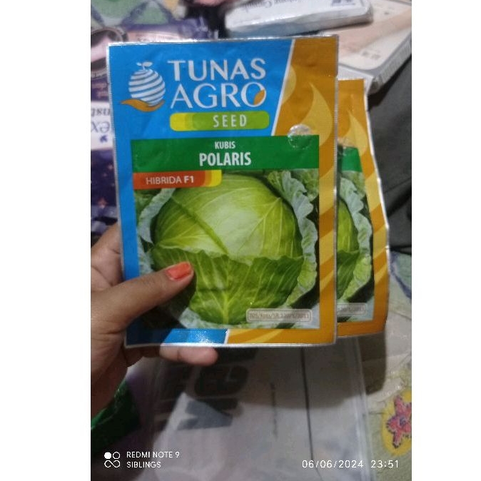 kubis polaris hybrida TUNAS AGRO SEED