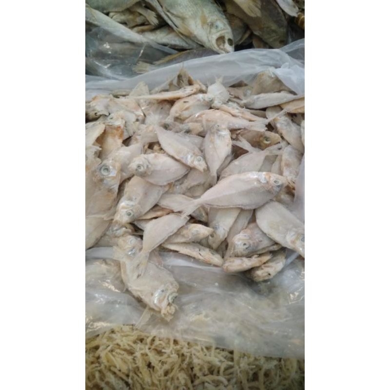 

ikan asin kapasan segar murah 500gr