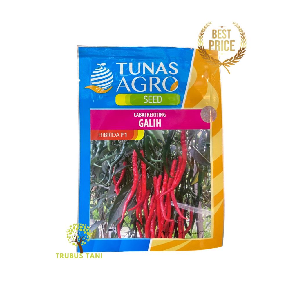 BENIH CABE KERITING GALIH 10gr - HIBRIDA F1 - TAHAN PATEK