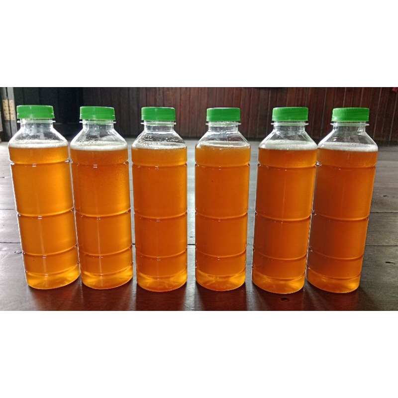 

madu lebah liar kalimantan