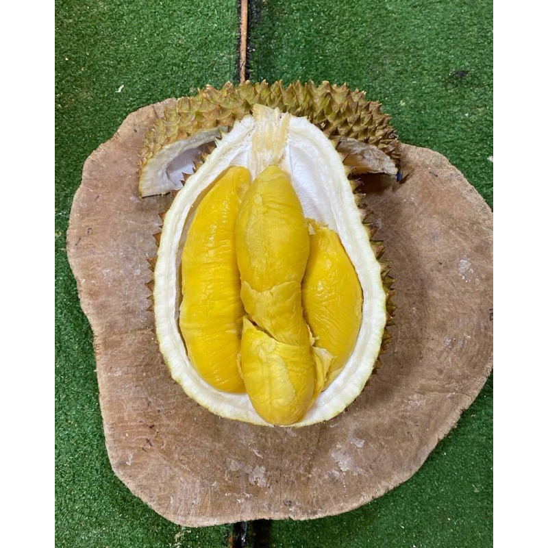 

Durian Musang King Fresh