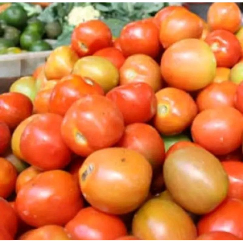 

Buah Tomat Halus Tomat Bagus di komsusi /1/kloRp25000