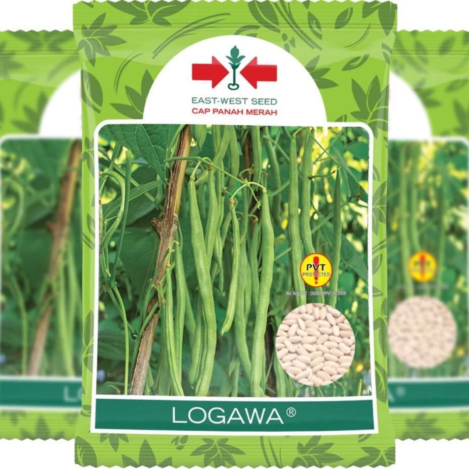 BENIH BUNCIS HIJAU LOGAWA 500 GRAM