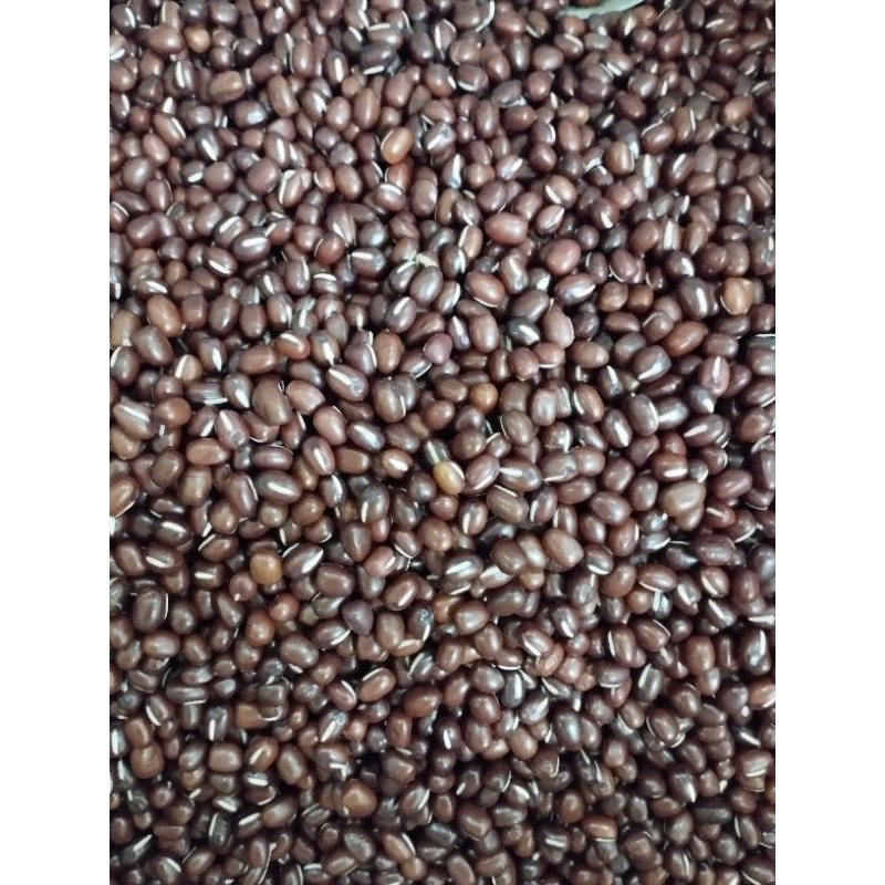 

kacang merah premium