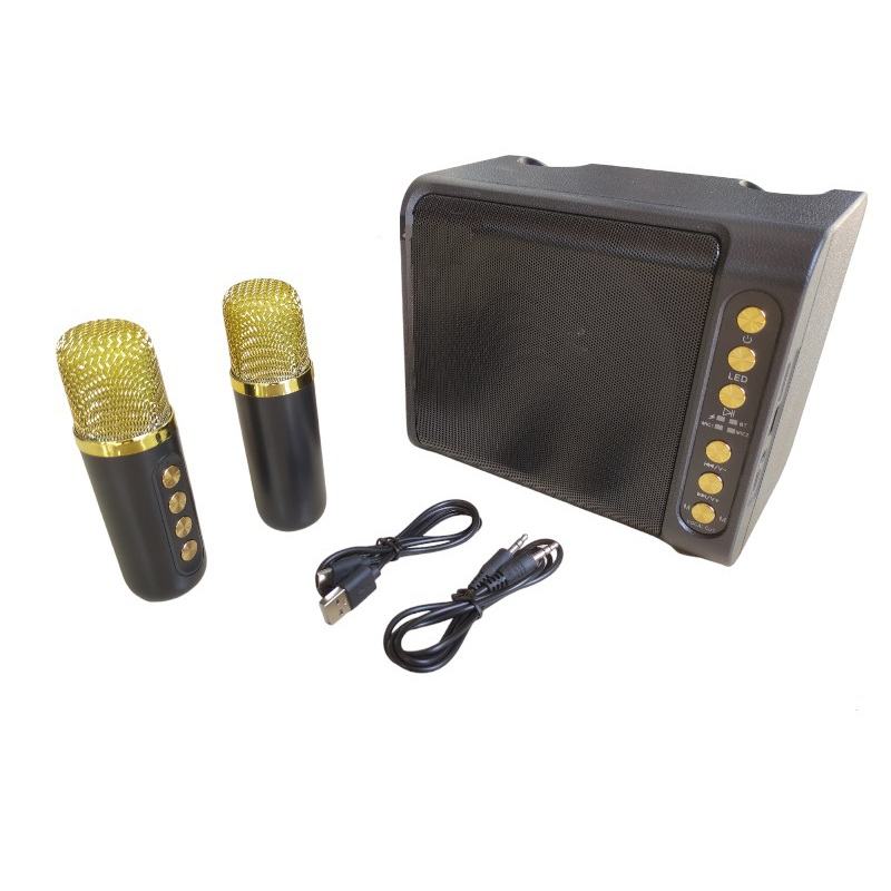 Speaker Portable Kecil dengan 2 Mic Wireless Fleco Salon Bluetooth USB