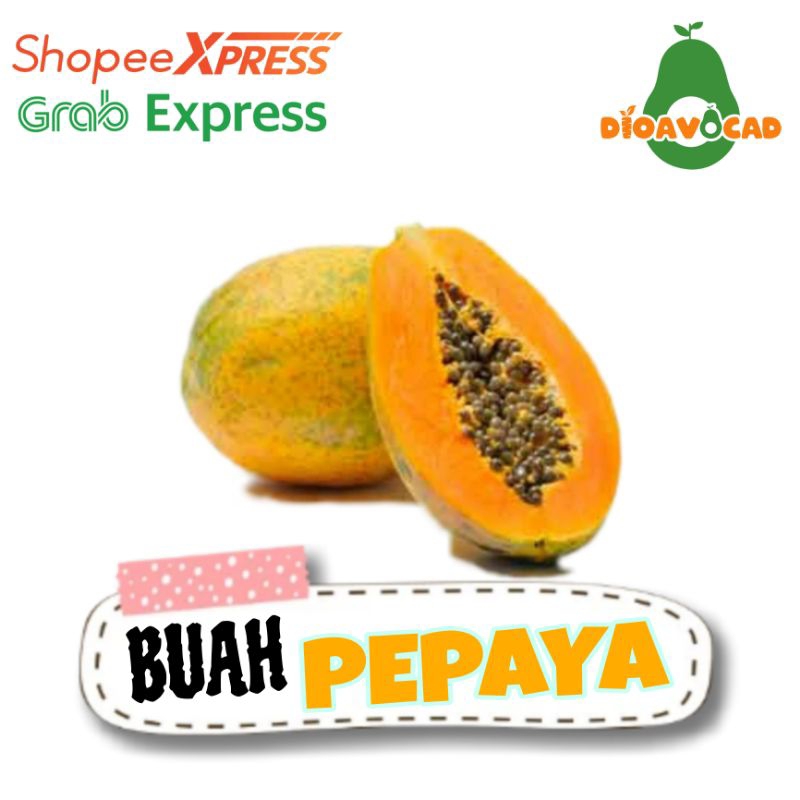 

Buah pepaya California