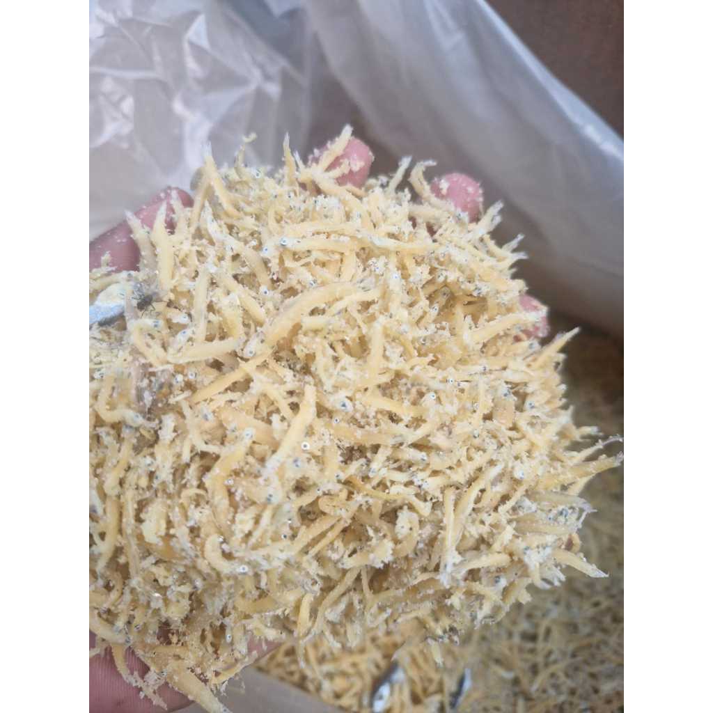 

Ikan teri nasi midan 1 kg super murah