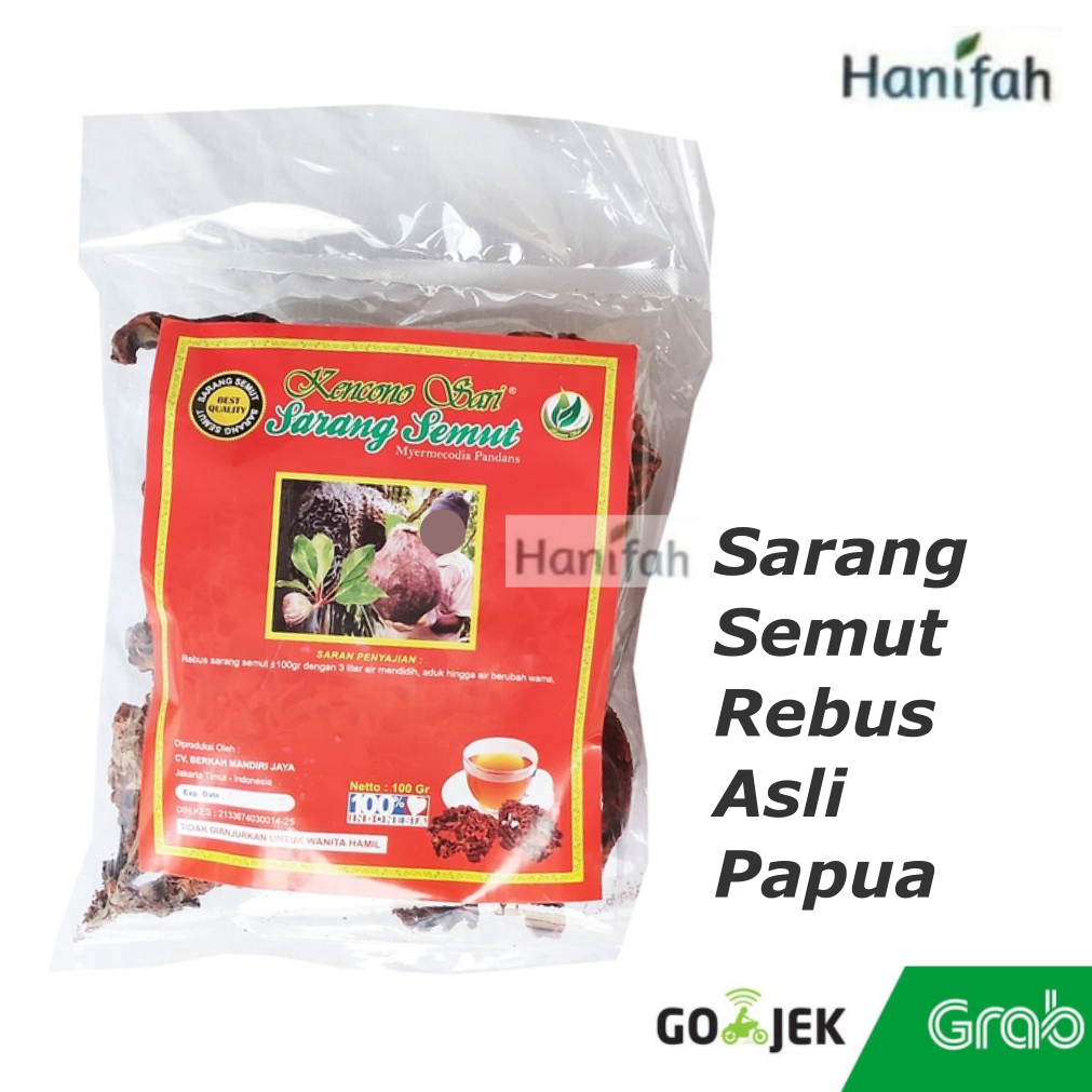 

Sarang Semut Asli Papua