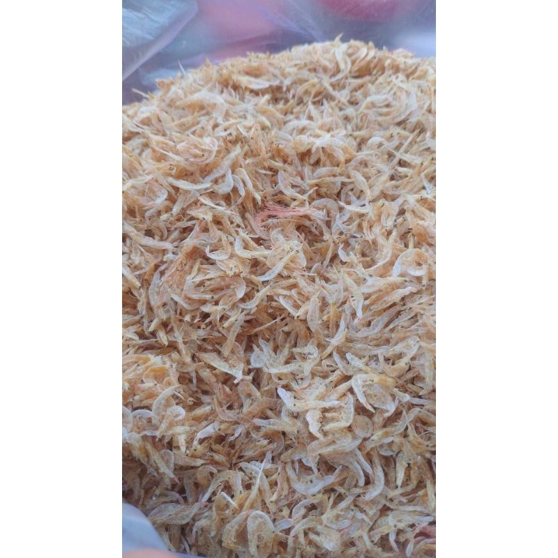 

udang rebon asli madura