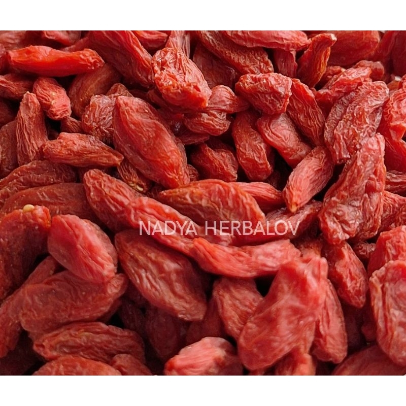 

Gojiberi | Dried Gojiberry Premium 50gr Buah kici kering