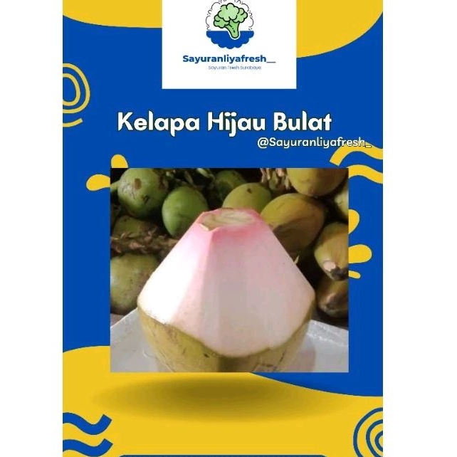 

Kelapa hijau bulat